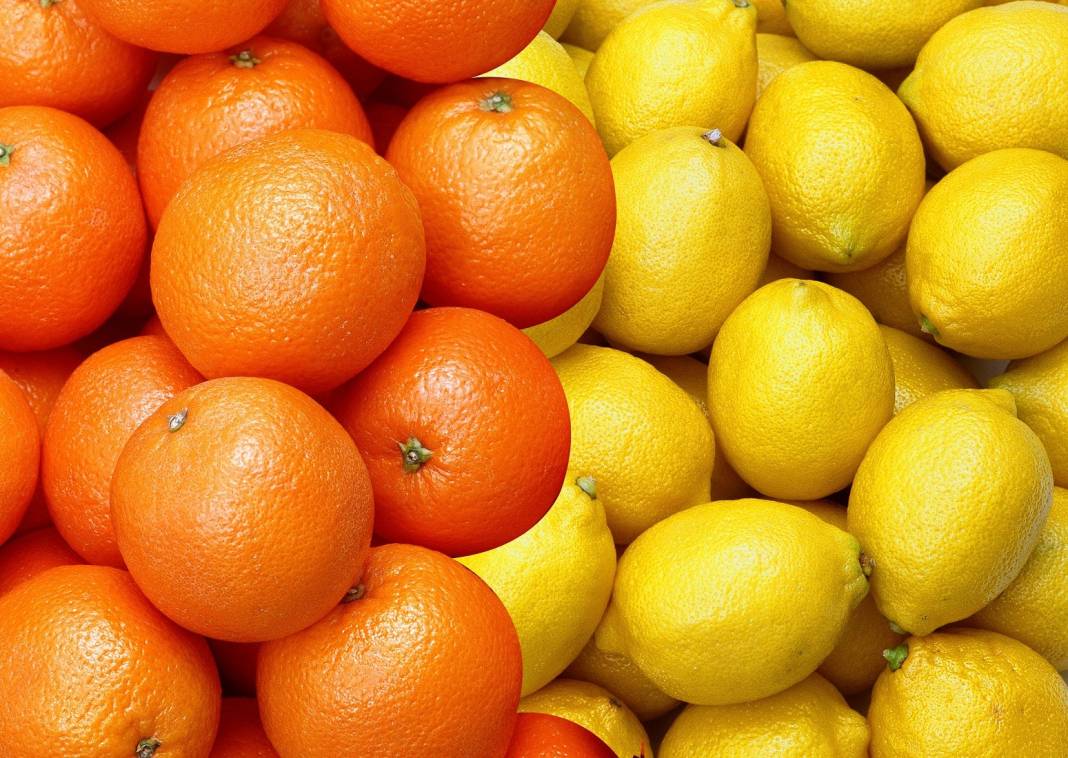 Aynı familyaya sahip portakal ve limon neden farklı kokar? 10